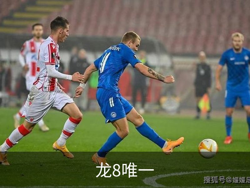 龙8唯一品牌故事